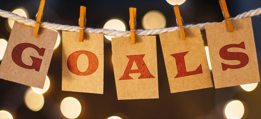 From Vision to Reality: How to Create and Execute Effective Business Goals